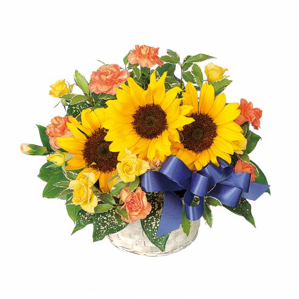 商品一覧の花 静岡県熱海市の花屋 花と緑のキタザワにフラワーギフトはお任せください 当店は 安心と信頼の花キューピット加盟店です 花キューピットタウン