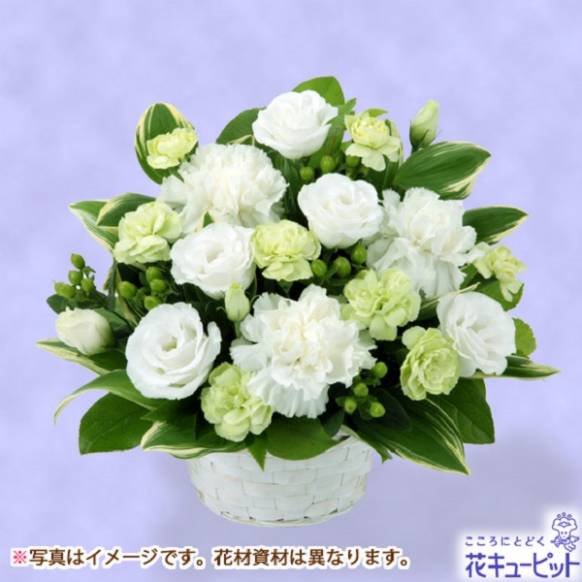 お供えの花 静岡県熱海市の花屋 花と緑のキタザワにフラワーギフトはお任せください 当店は 安心と信頼の花キューピット加盟店です 花キューピットタウン