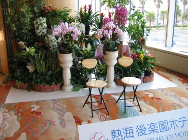 「花と緑のキタザワ」　（静岡県熱海市）の花屋店舗写真4